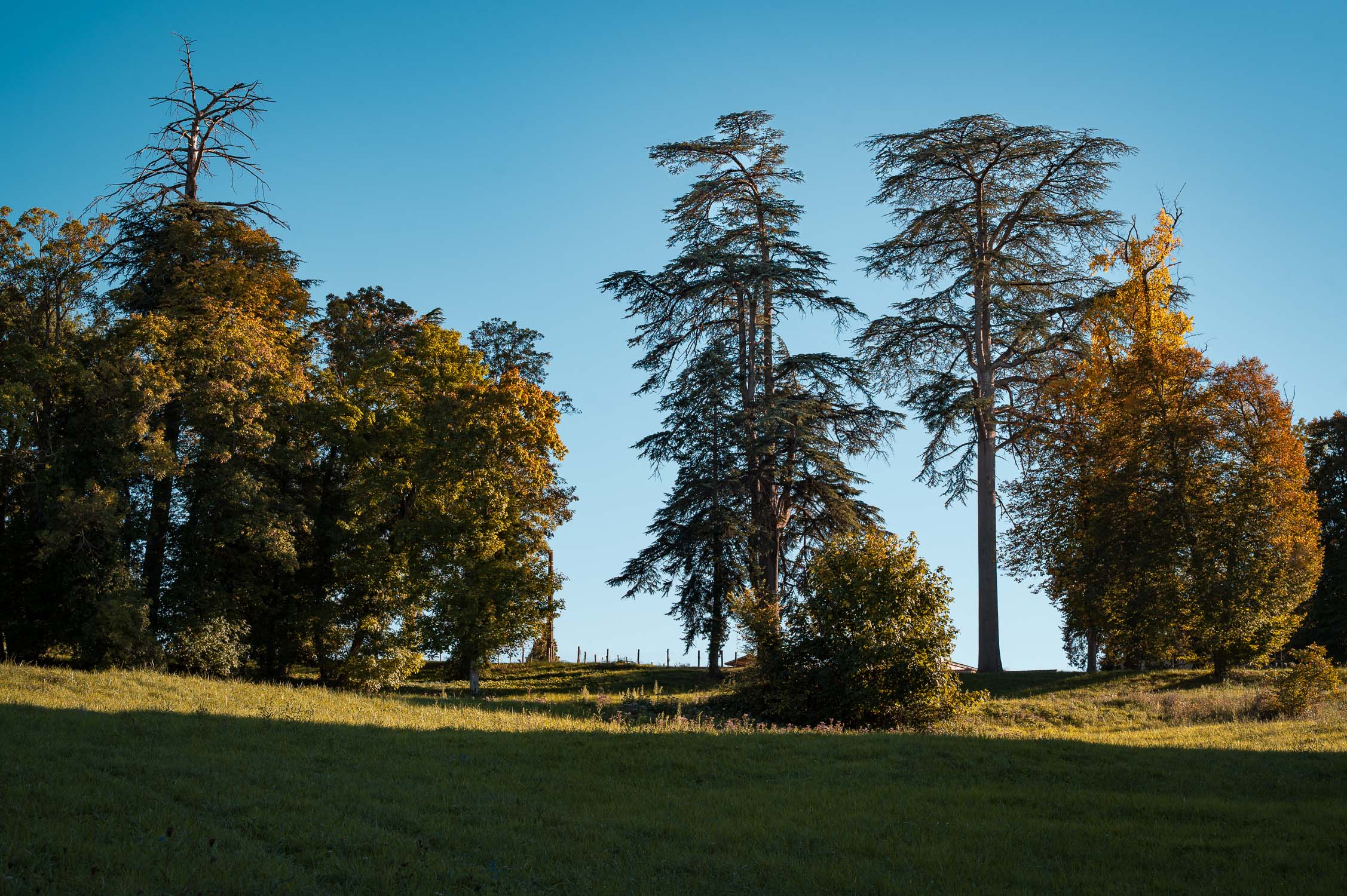 Les parc à l'Anglaise du Château et leurs sentiers de promenade